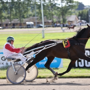 Elegant og veltravende. Her med træner Kaj Jensen i sulkyen