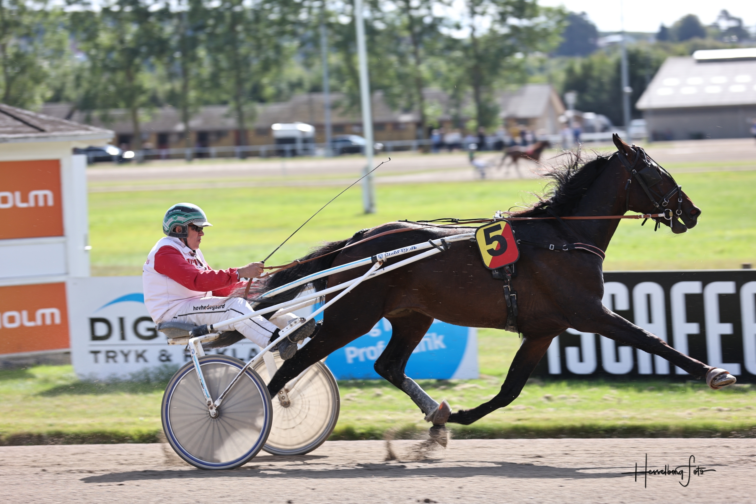 Elegant og veltravende. Her med træner Kaj Jensen i sulkyen